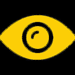 Vision icon