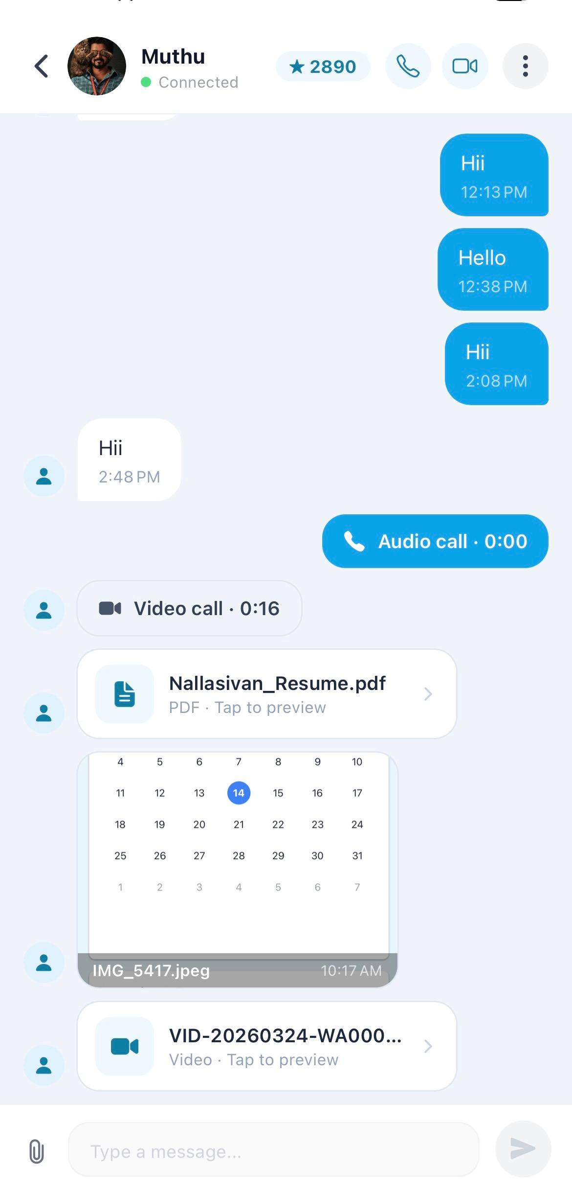 Chat Interface